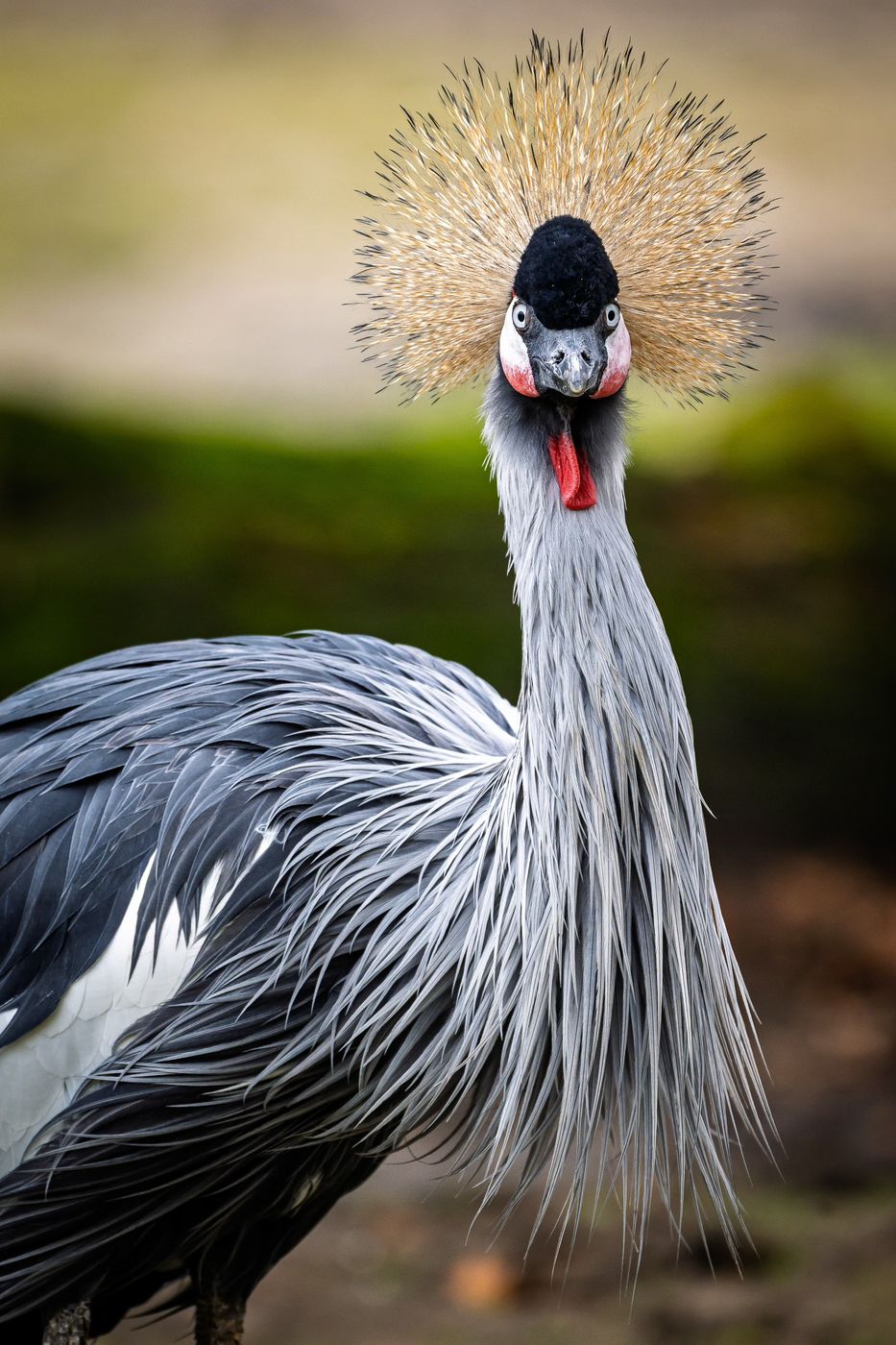 Allwetterzoo Münster, Germany