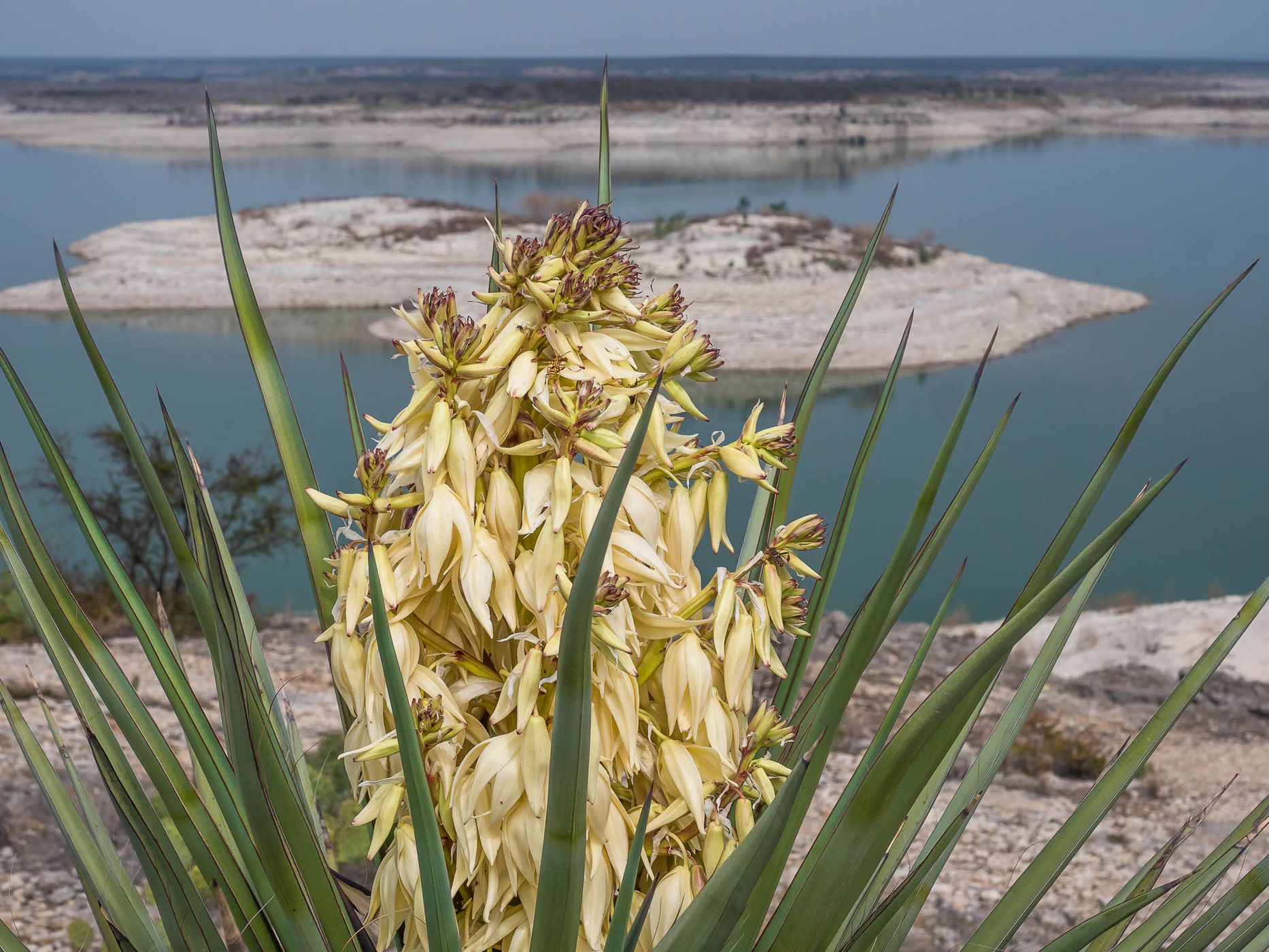 Amistad National Recreation Area, USA