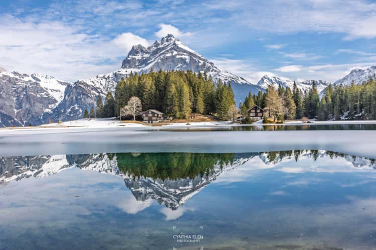 Arnisee