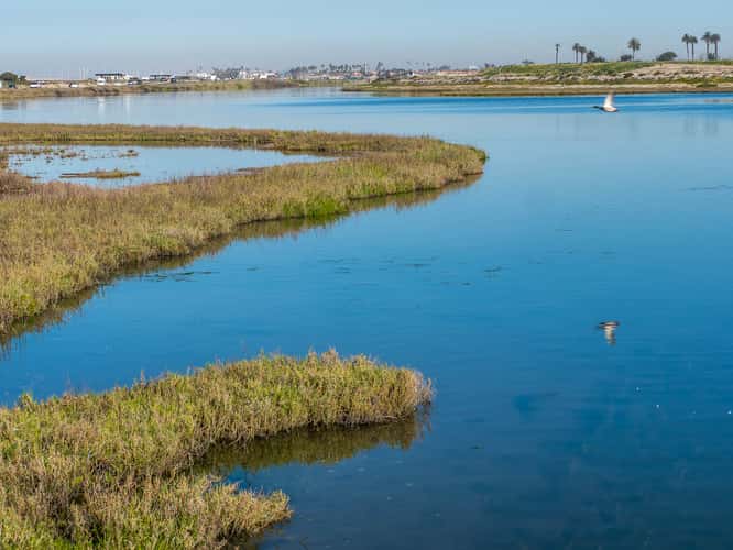 Bolsa Chica Ecological Reserve