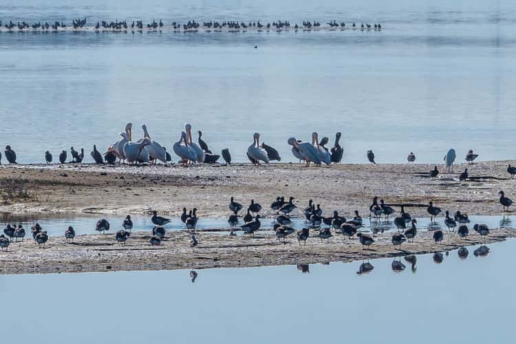 Bolsa Chica Ecological Reserve