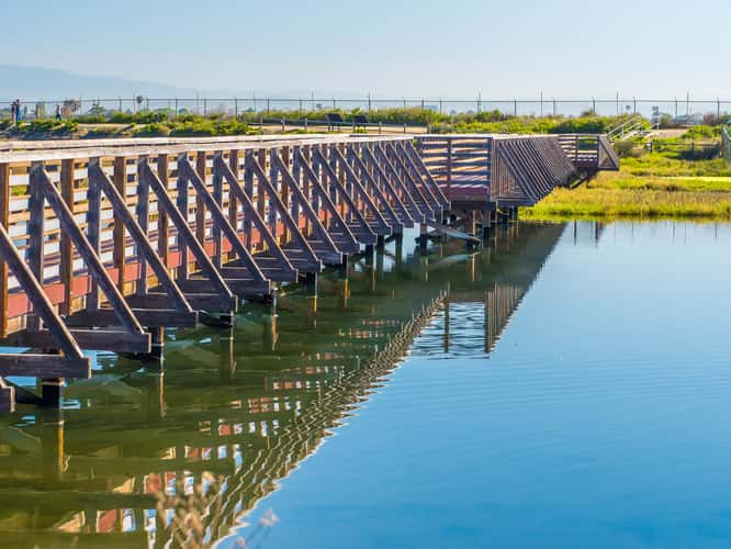 Bolsa Chica Ecological Reserve