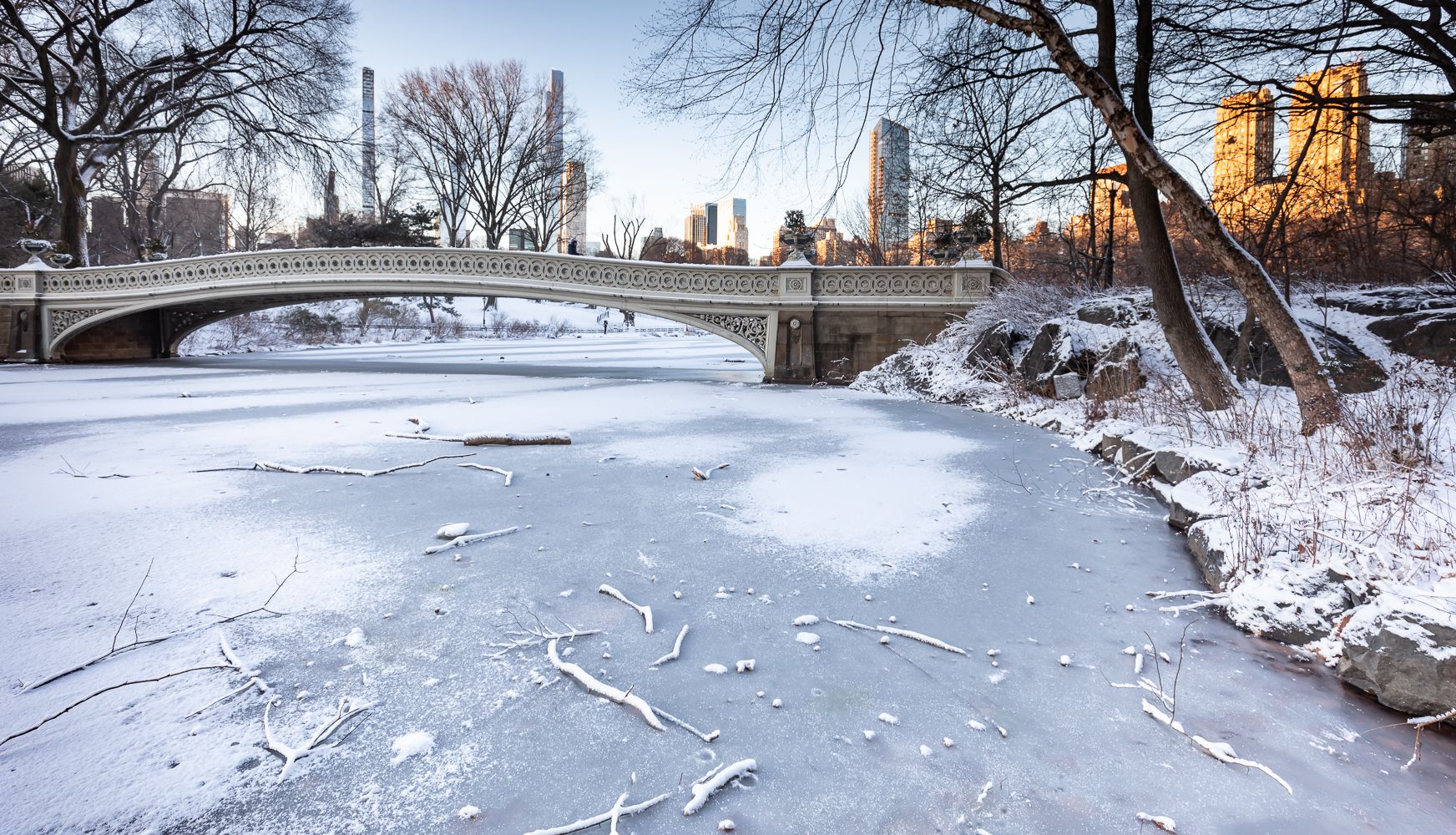 Bow Bridge, Central Park, NY, USA