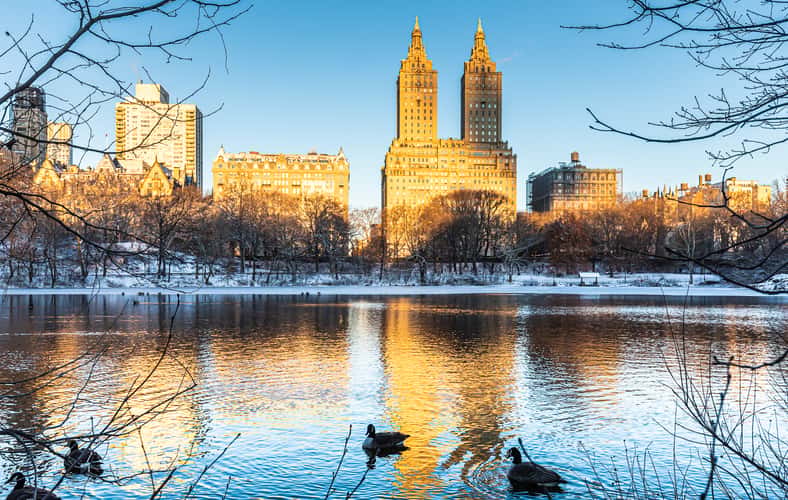 Bow Bridge, Central Park, NY