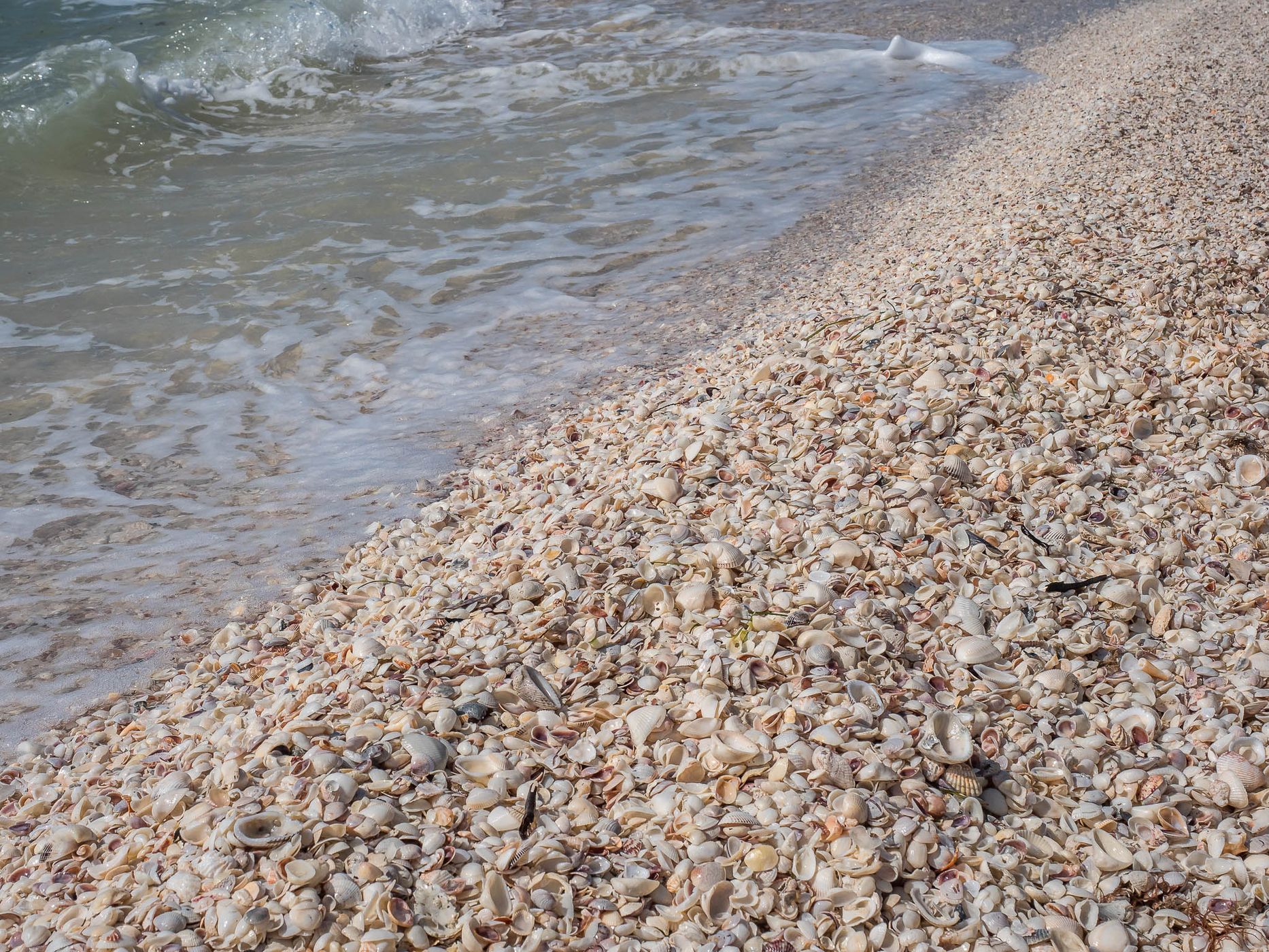 Bowman's Beach, USA
