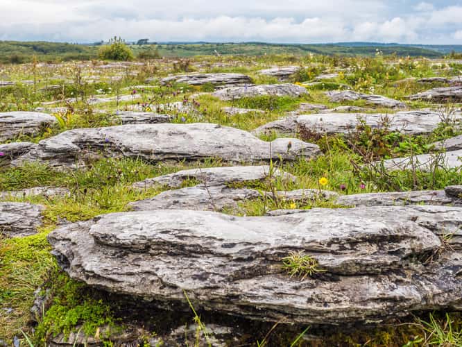 Burren