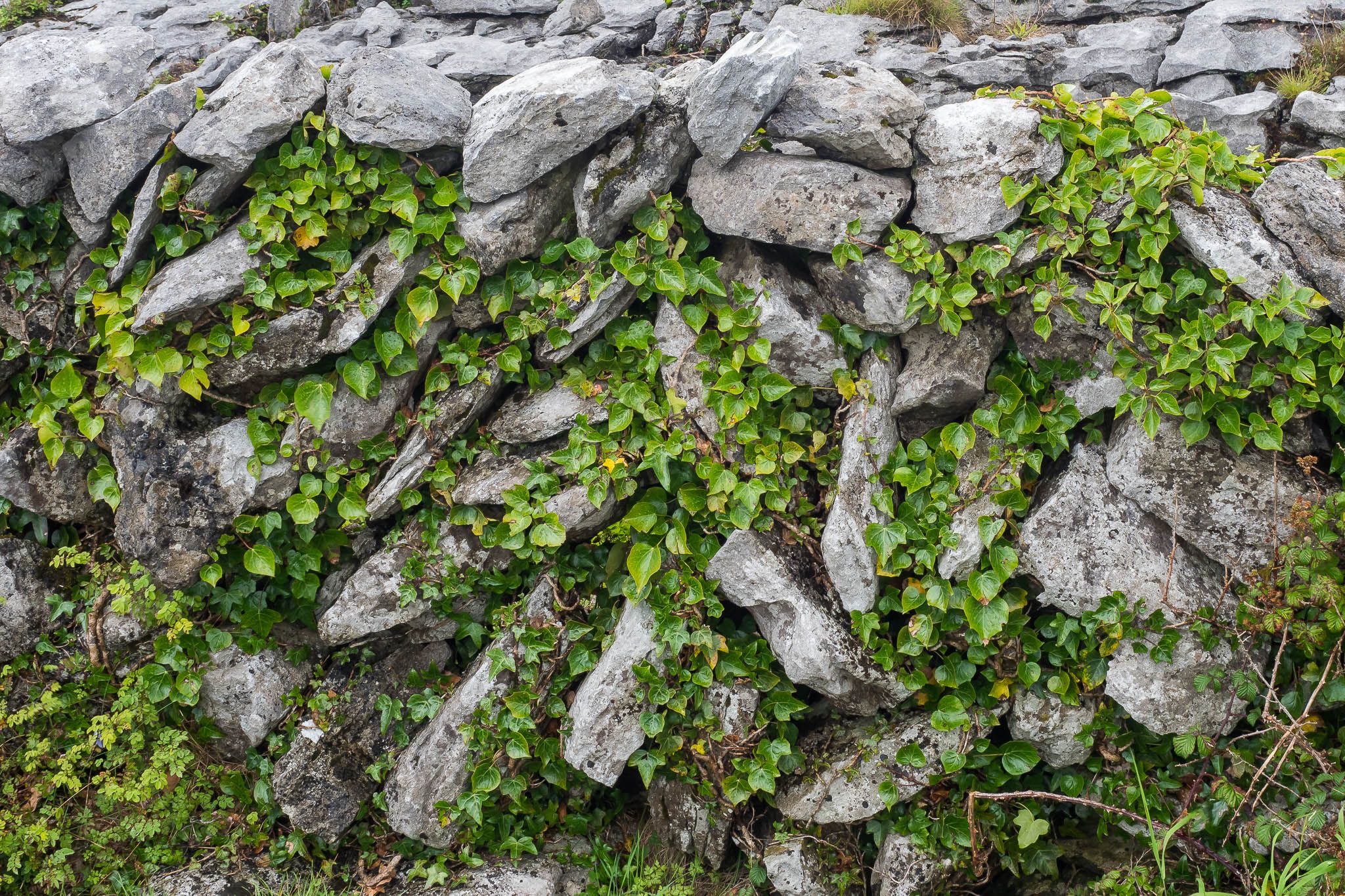 Burren, Ireland