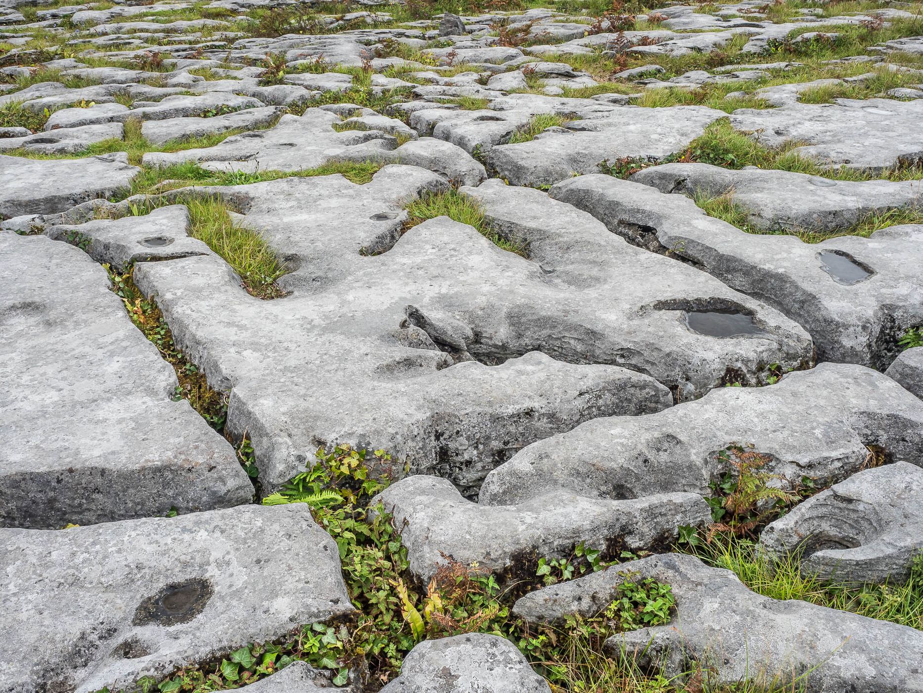 Burren, Ireland