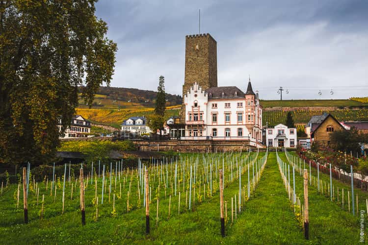 Carl Jung GmbH Winery, Rüdesheim am Rhein