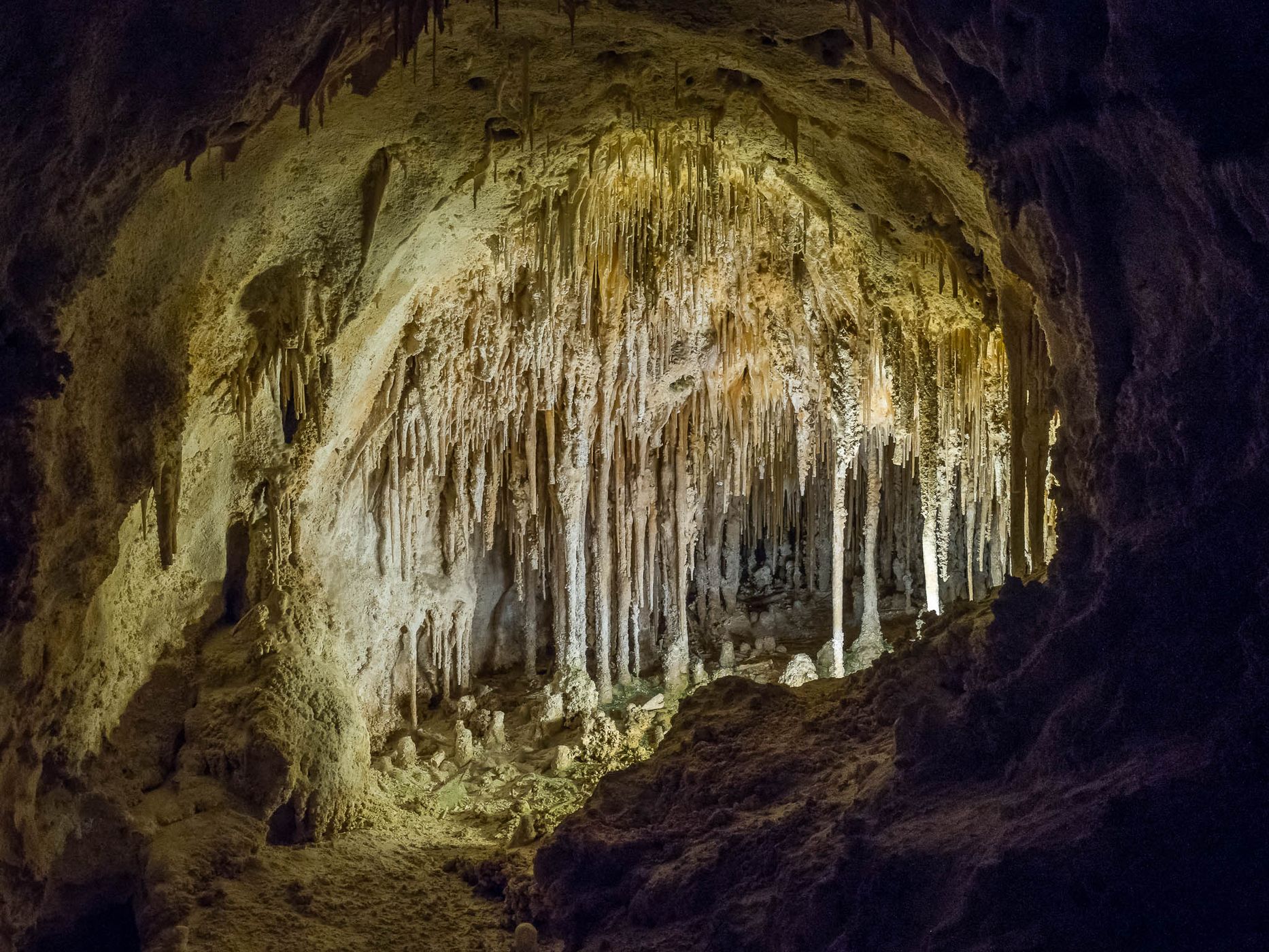 Carlsbad caverns, USA
