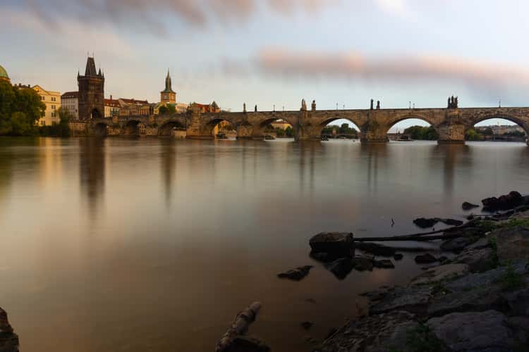 Charles Bridge and swan, Prague