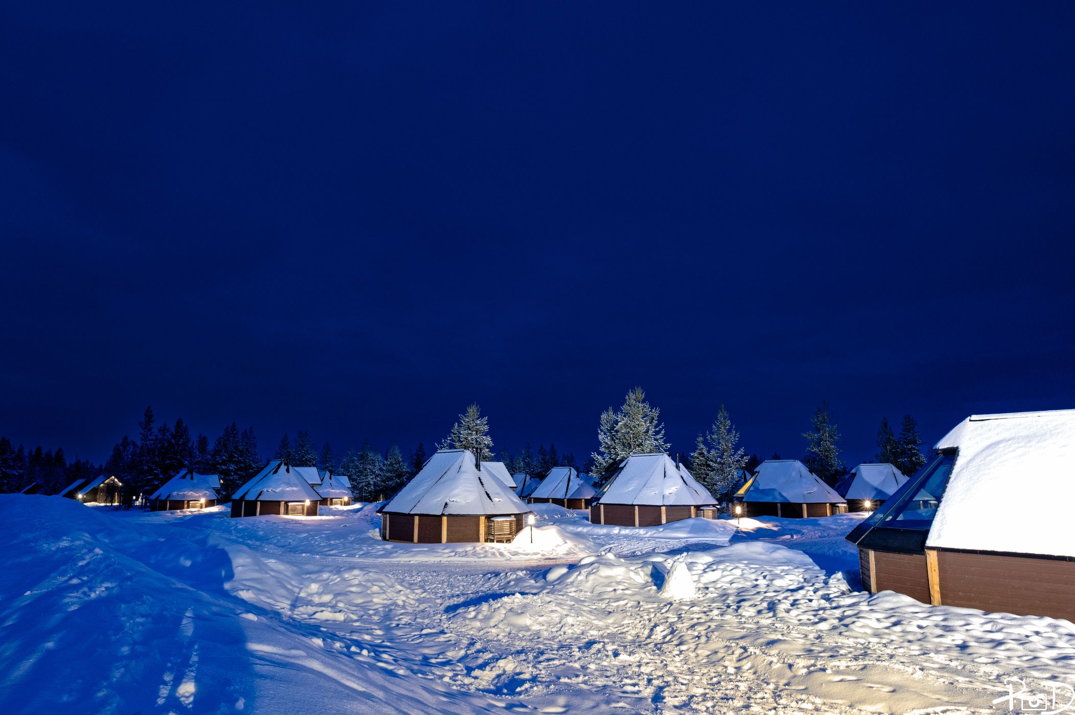 Deers in Levi, Finland
