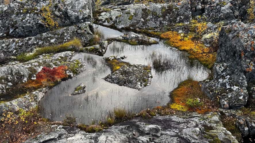 Döda fallet  – the dead falls