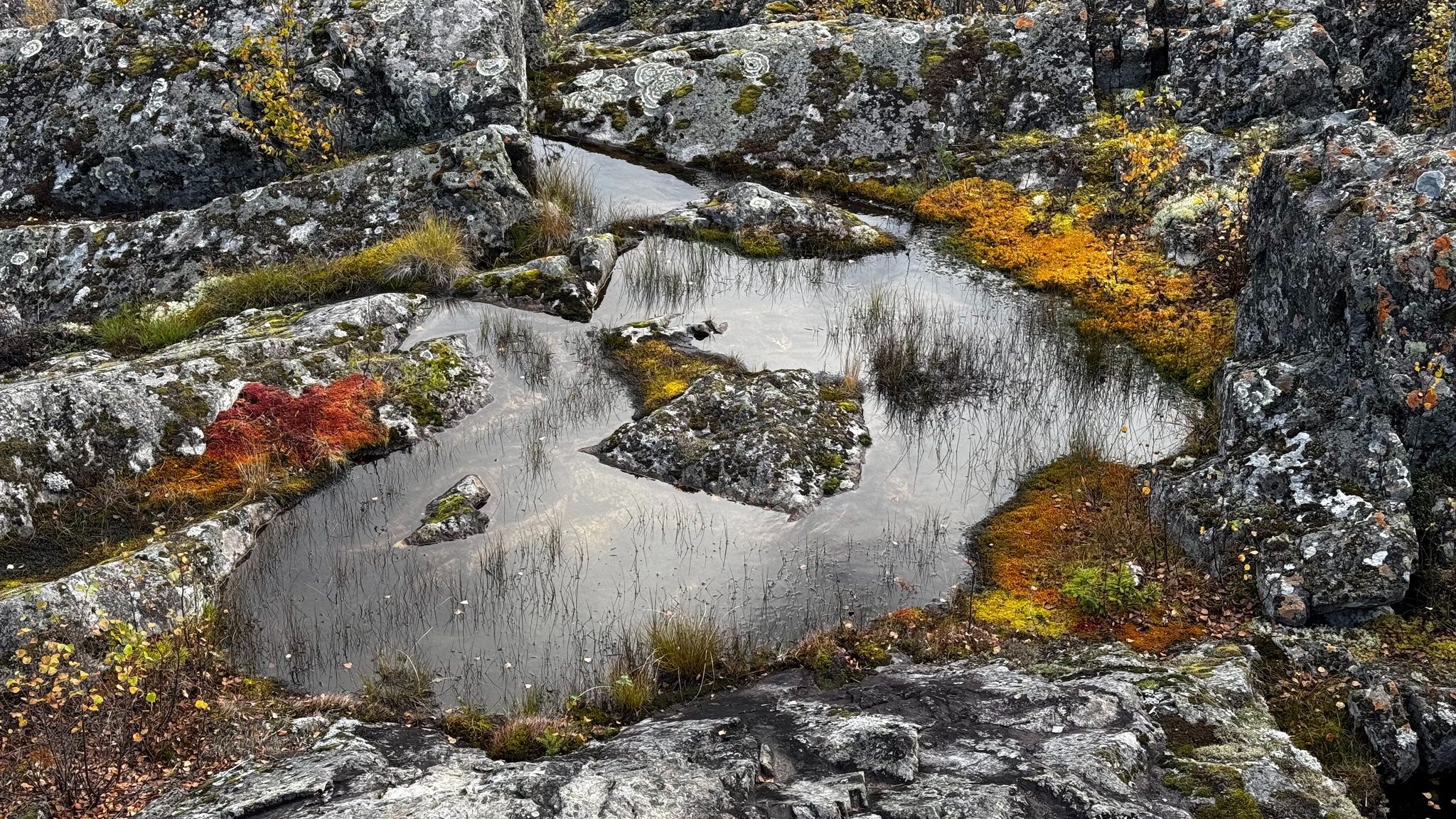 Döda fallet  – the dead falls, Sweden