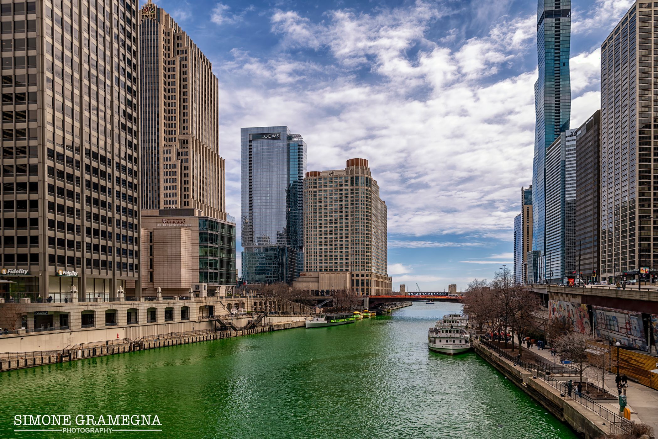 Du Sable Bridge River View, USA