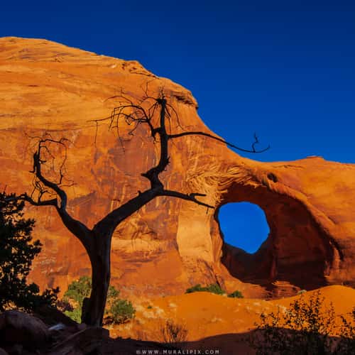 Ear of the Wind Arch