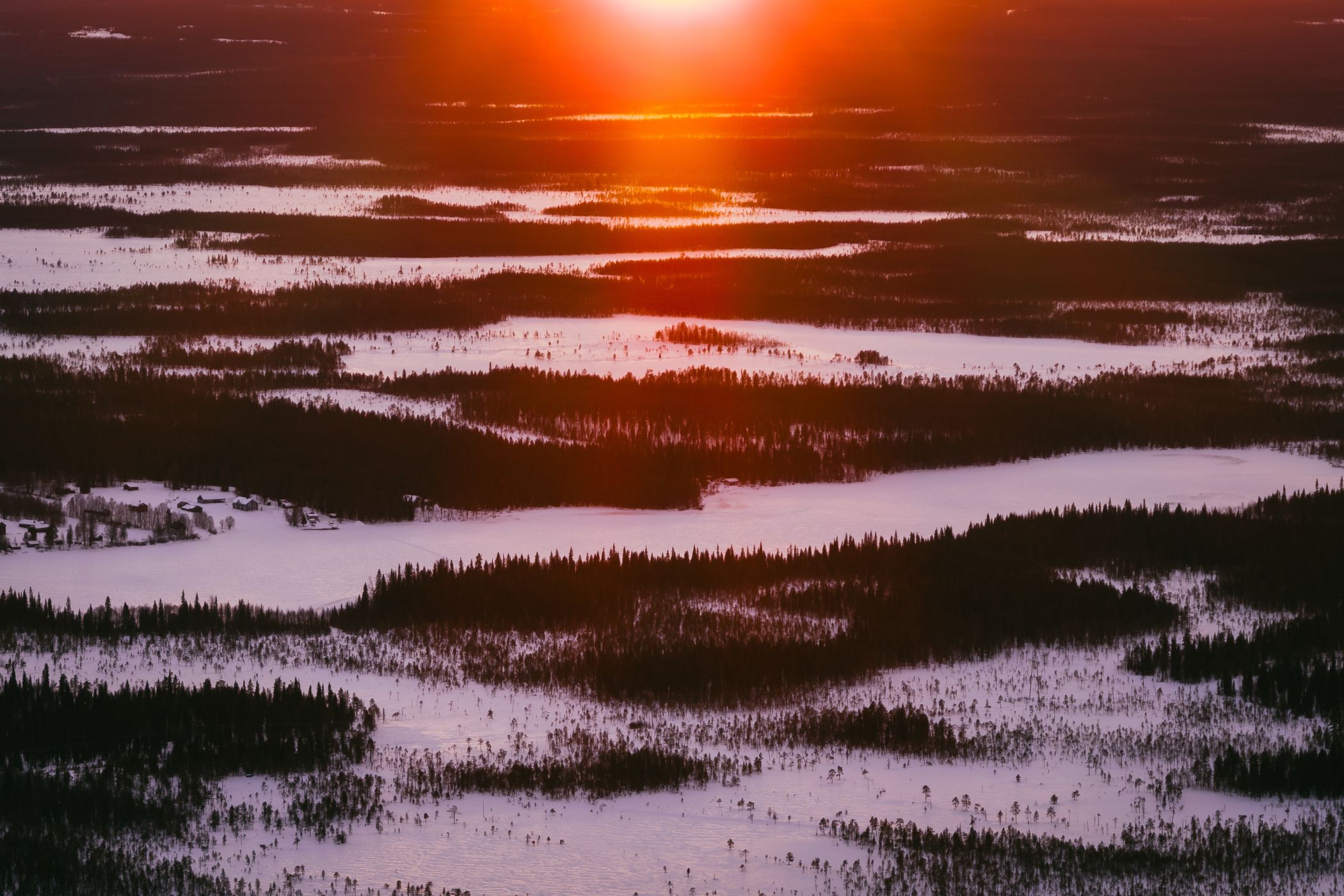 Forests near Gondoli, Levi, Finland