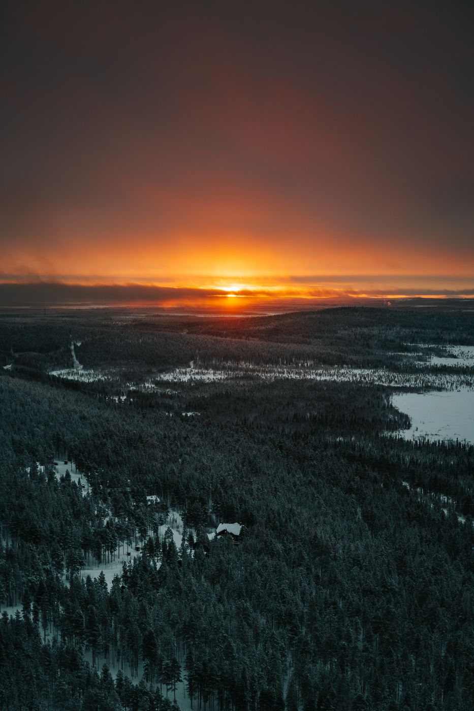 Forests near Gondoli, Levi, Finland