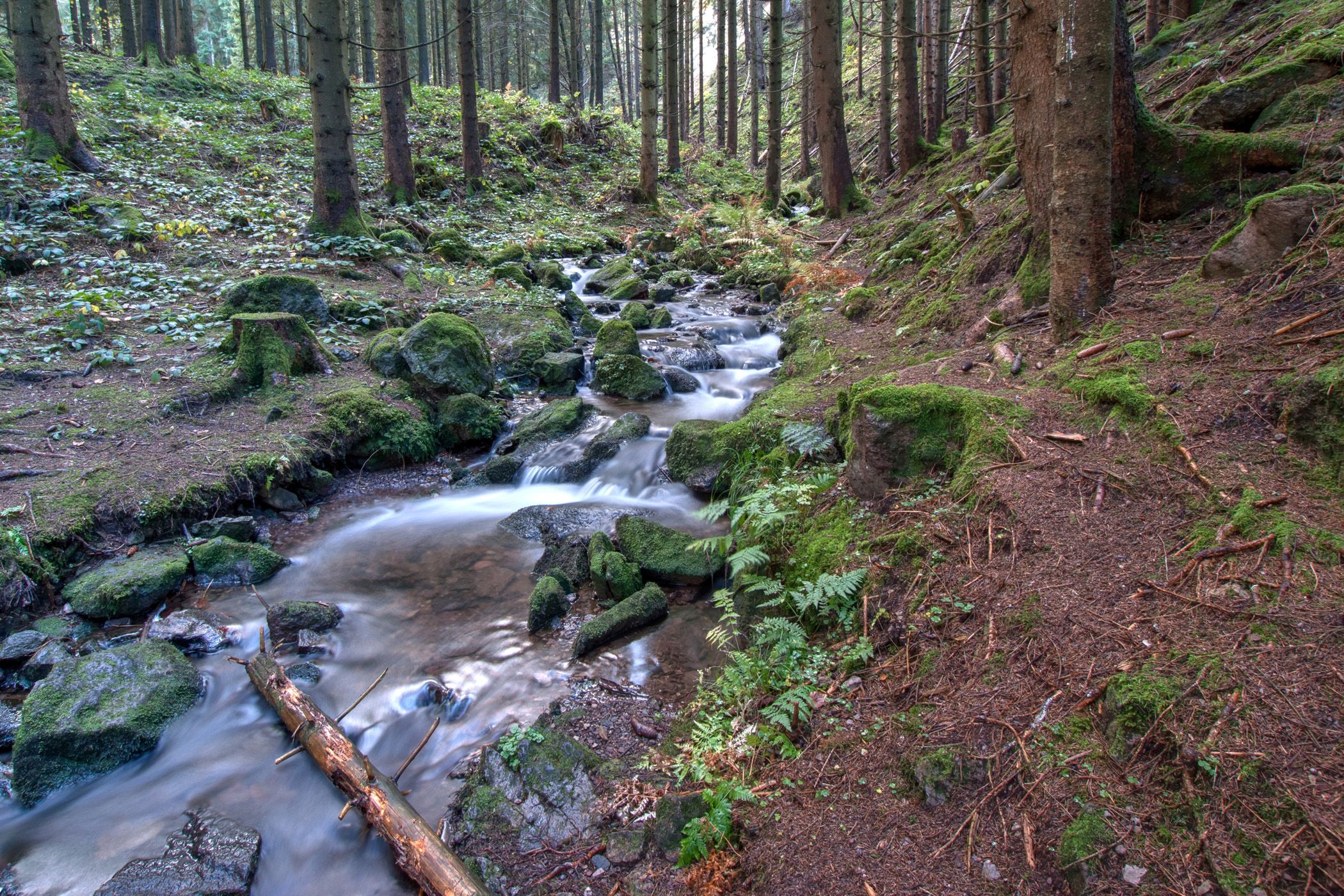 Friedrichroda Kühles Tal, Germany