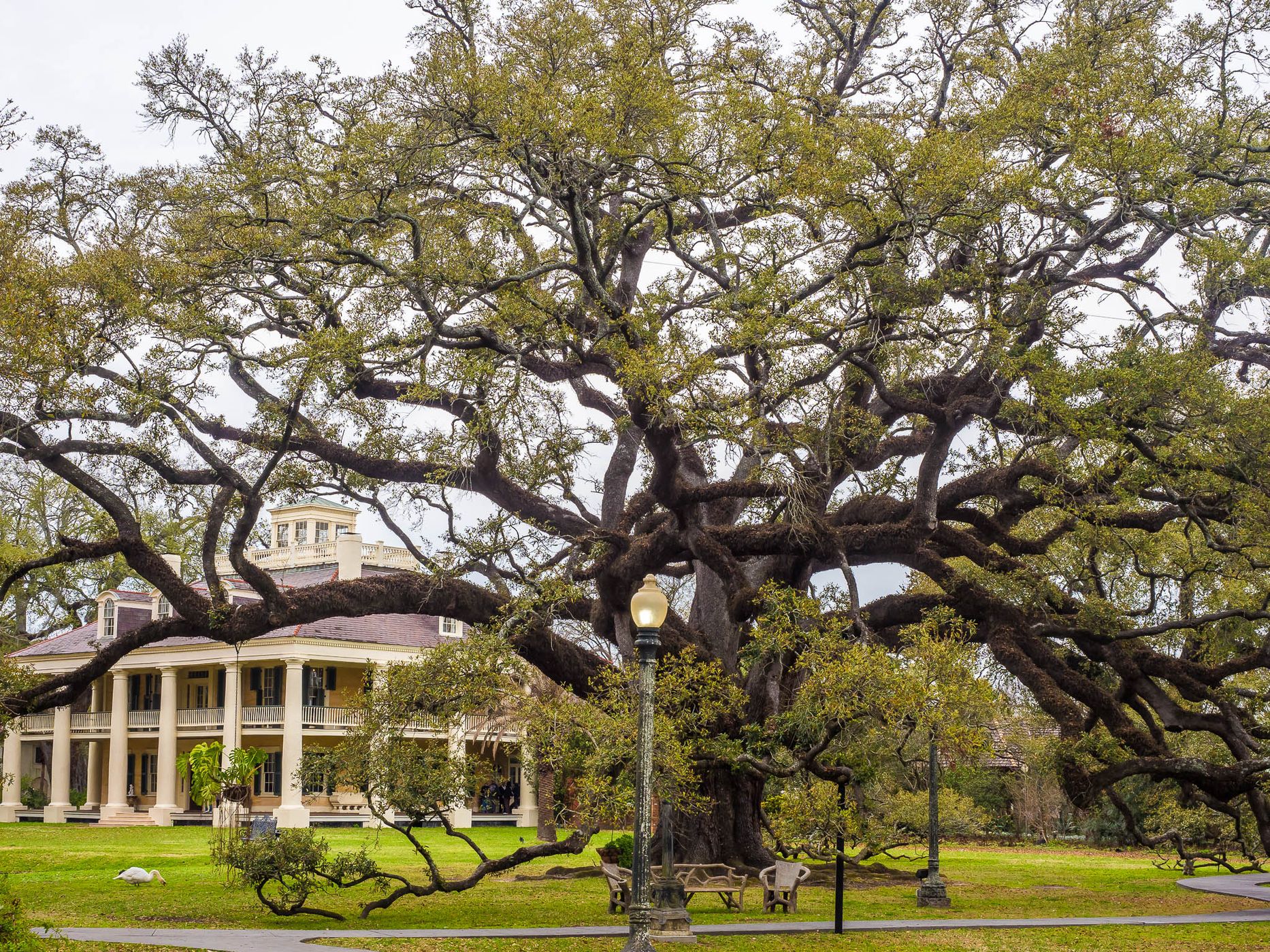 Houmas House, USA