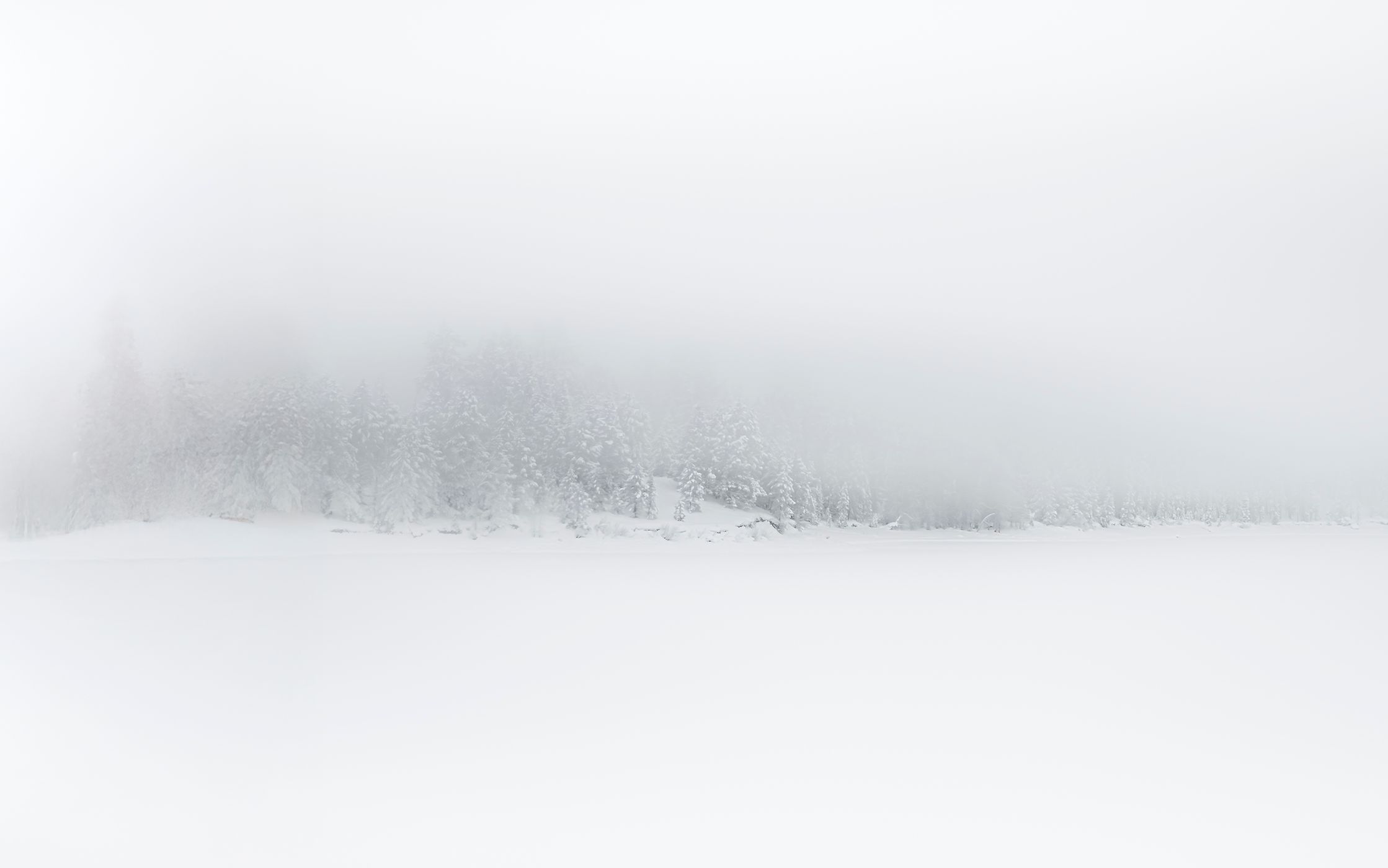 Jackson Lake White Out, USA