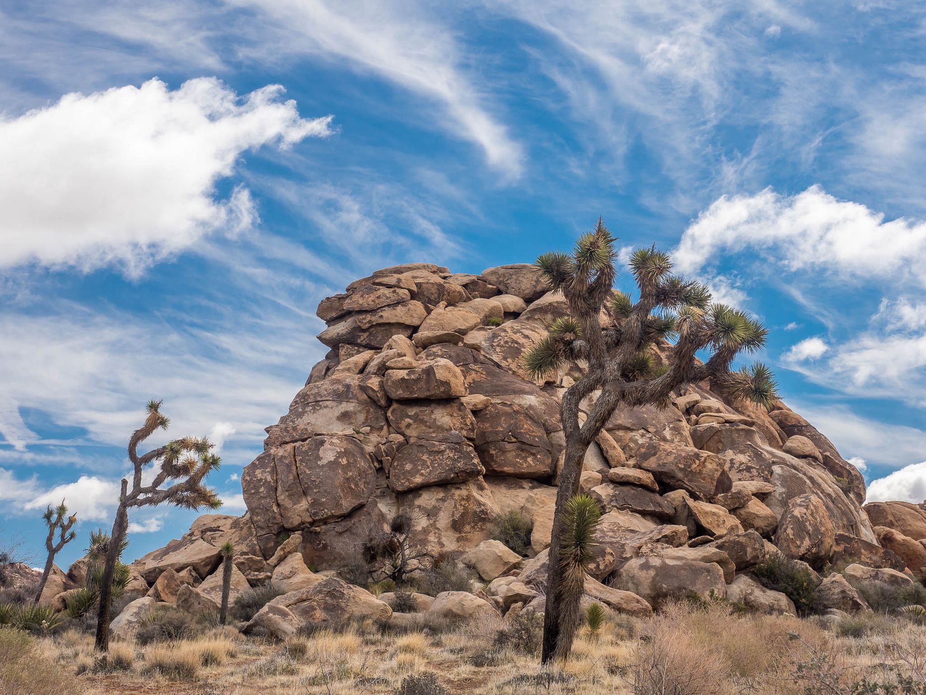 Joshua Tree National Park, USA
