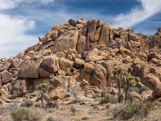 Joshua Tree National Park