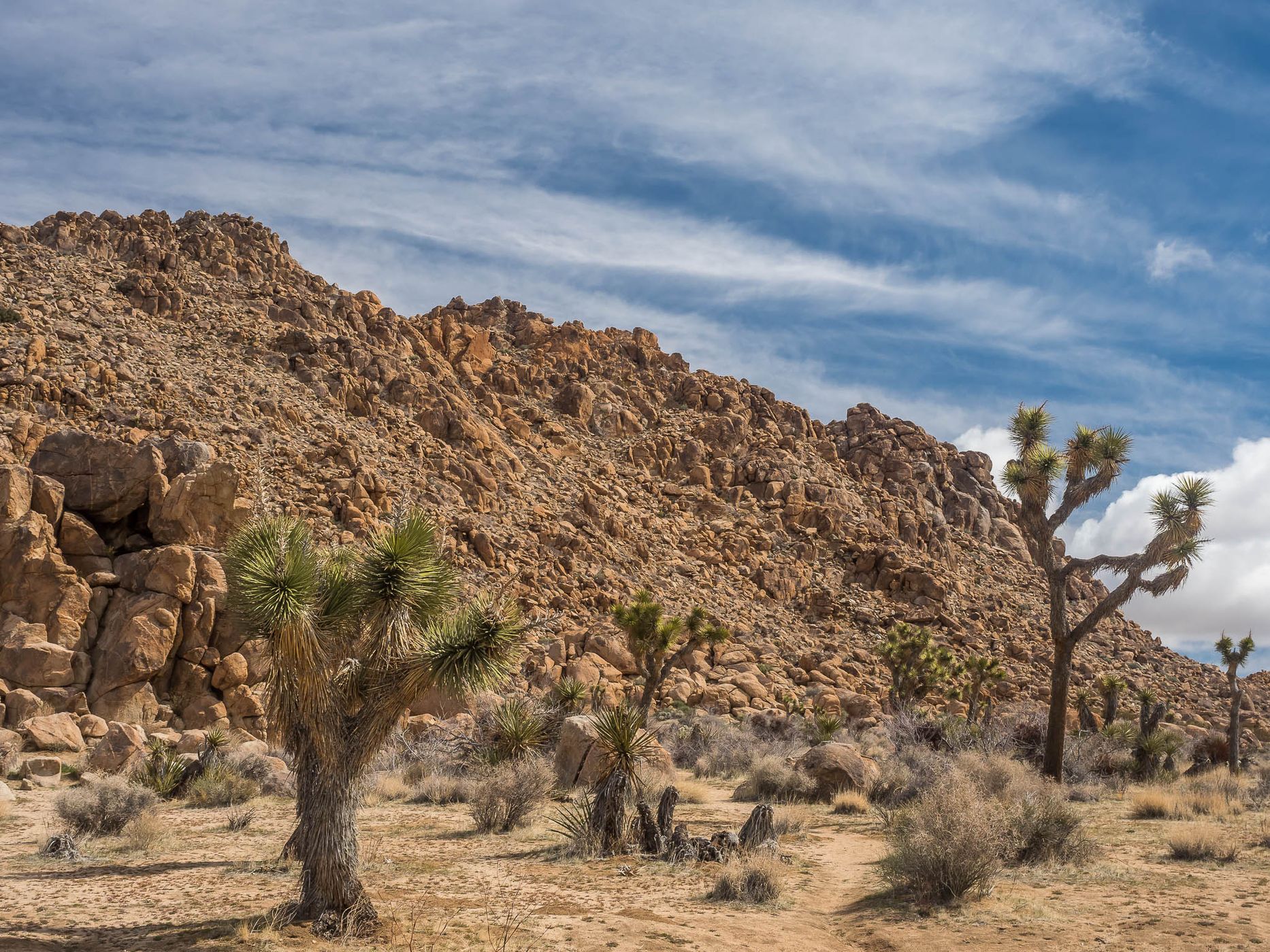 Joshua Tree National Park, USA