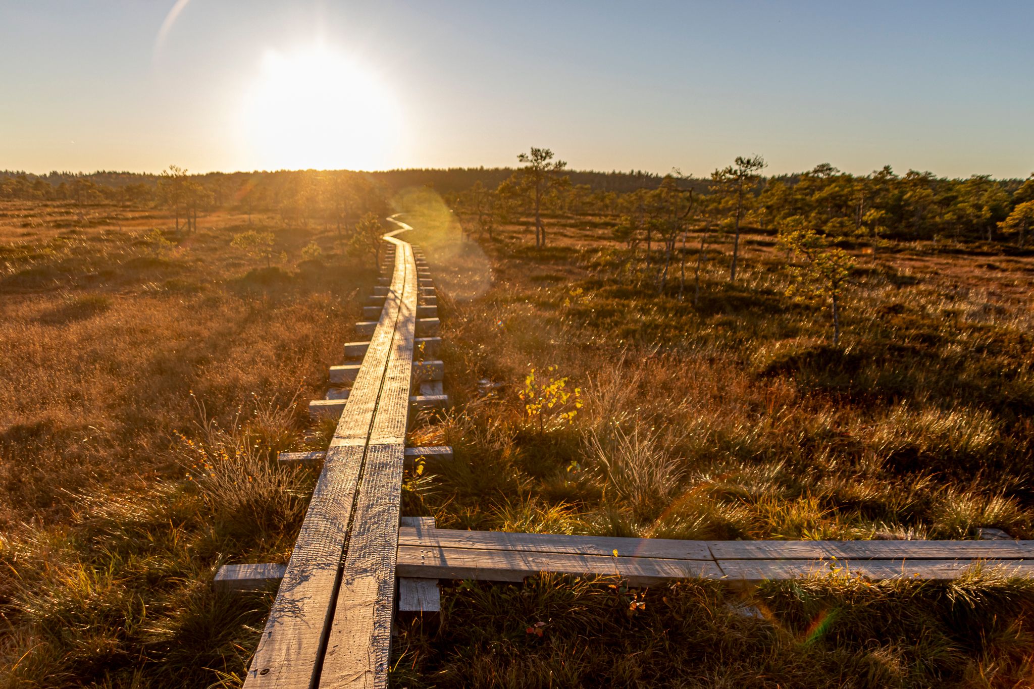 Kakerdaja Bog hiking trail, Estonia