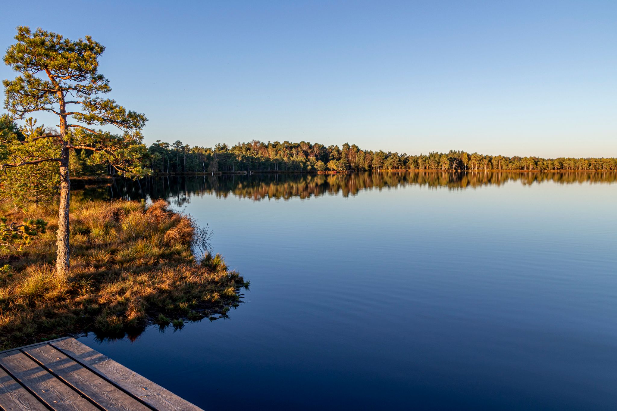 Kakerdaja Bog hiking trail, Estonia