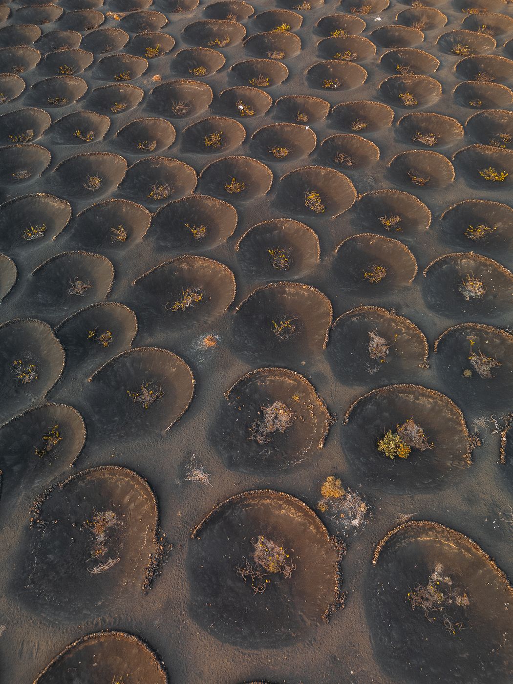 La Geria (Drone), Spain