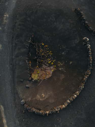 La Geria (Drone)
