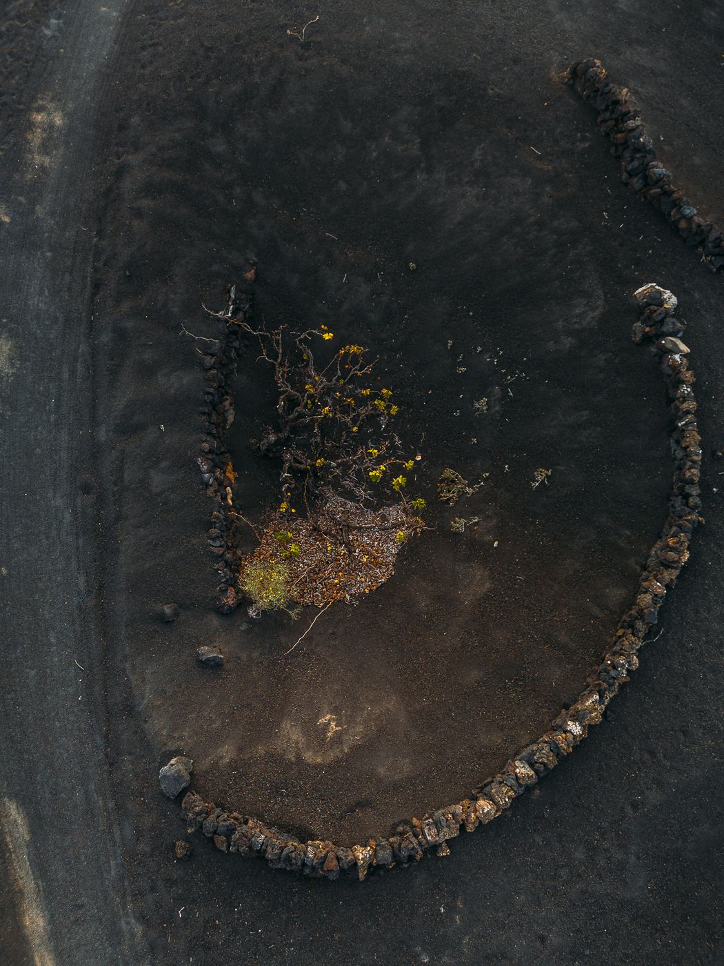 La Geria (Drone), Spain