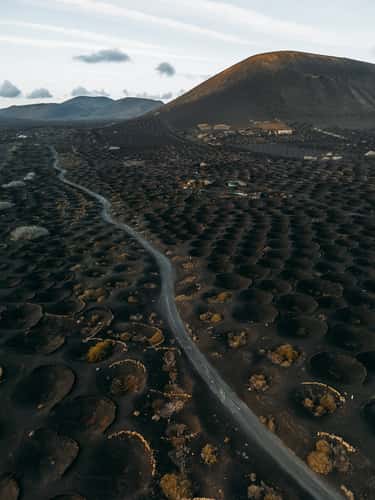 La Geria (Drone)