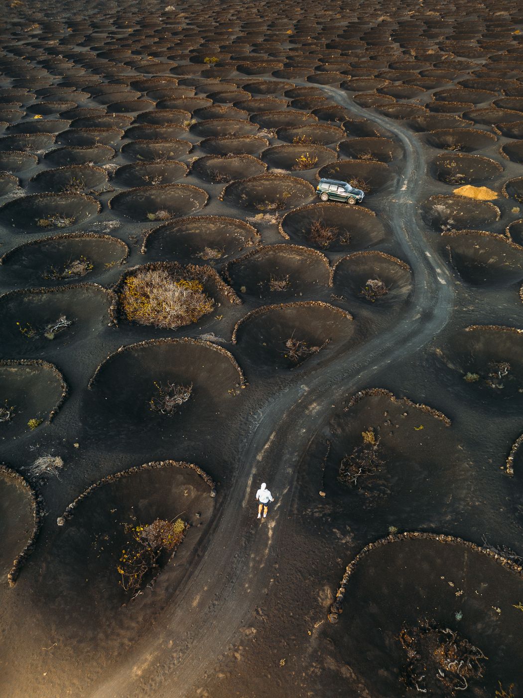 La Geria (Drone), Spain