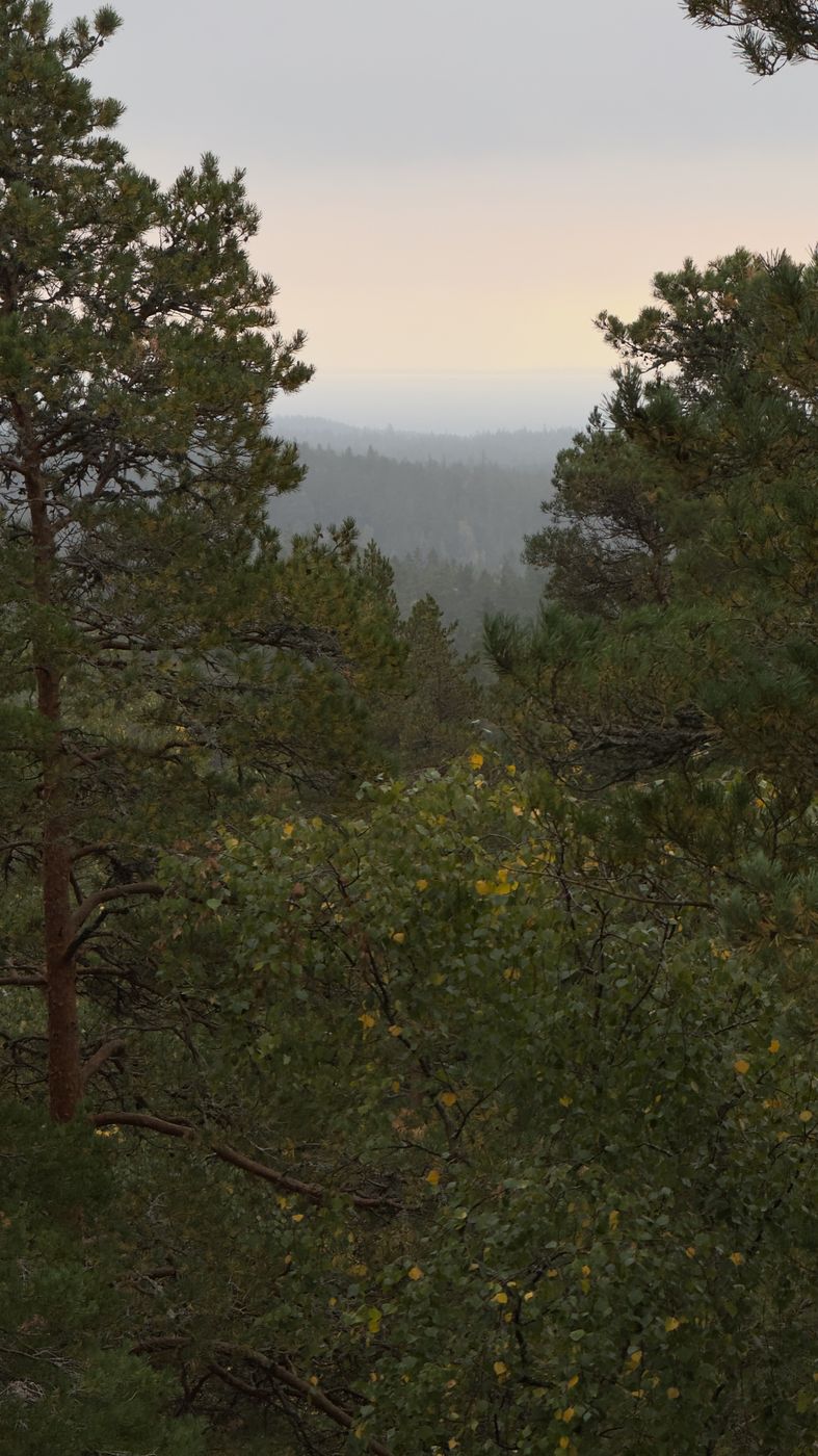 Lilla Trollkyrkan, at Tiveden Nationalpark, Sweden
