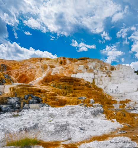 Mammoth Hot Springs, Yellowstone National Park
