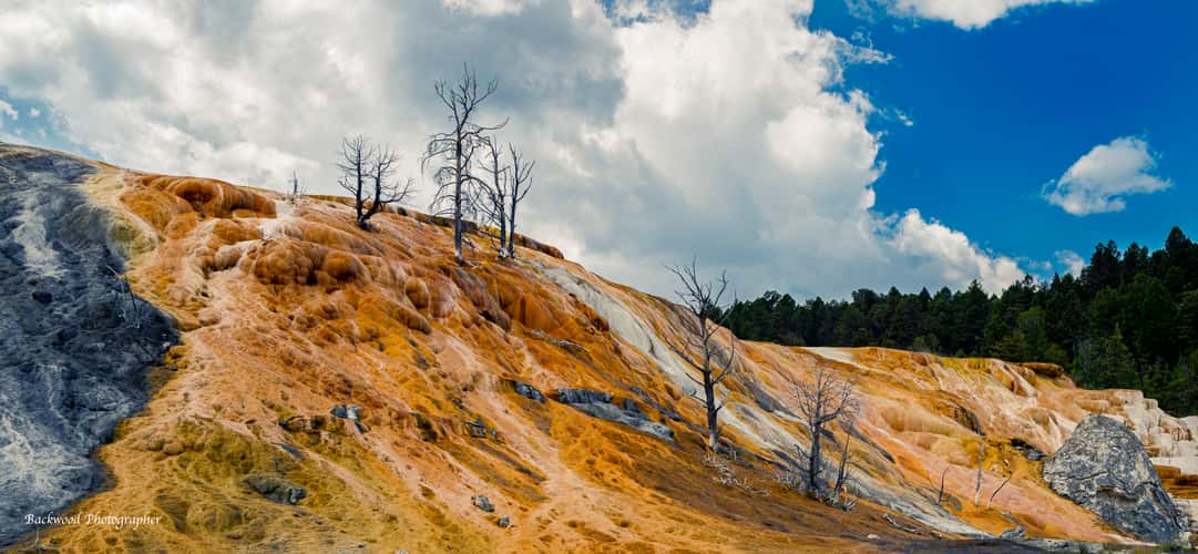 Mammoth Hot Springs, Yellowstone National Park