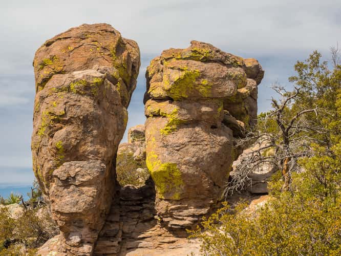 Massai Point Trail
