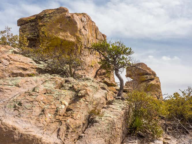 Massai Point Trail