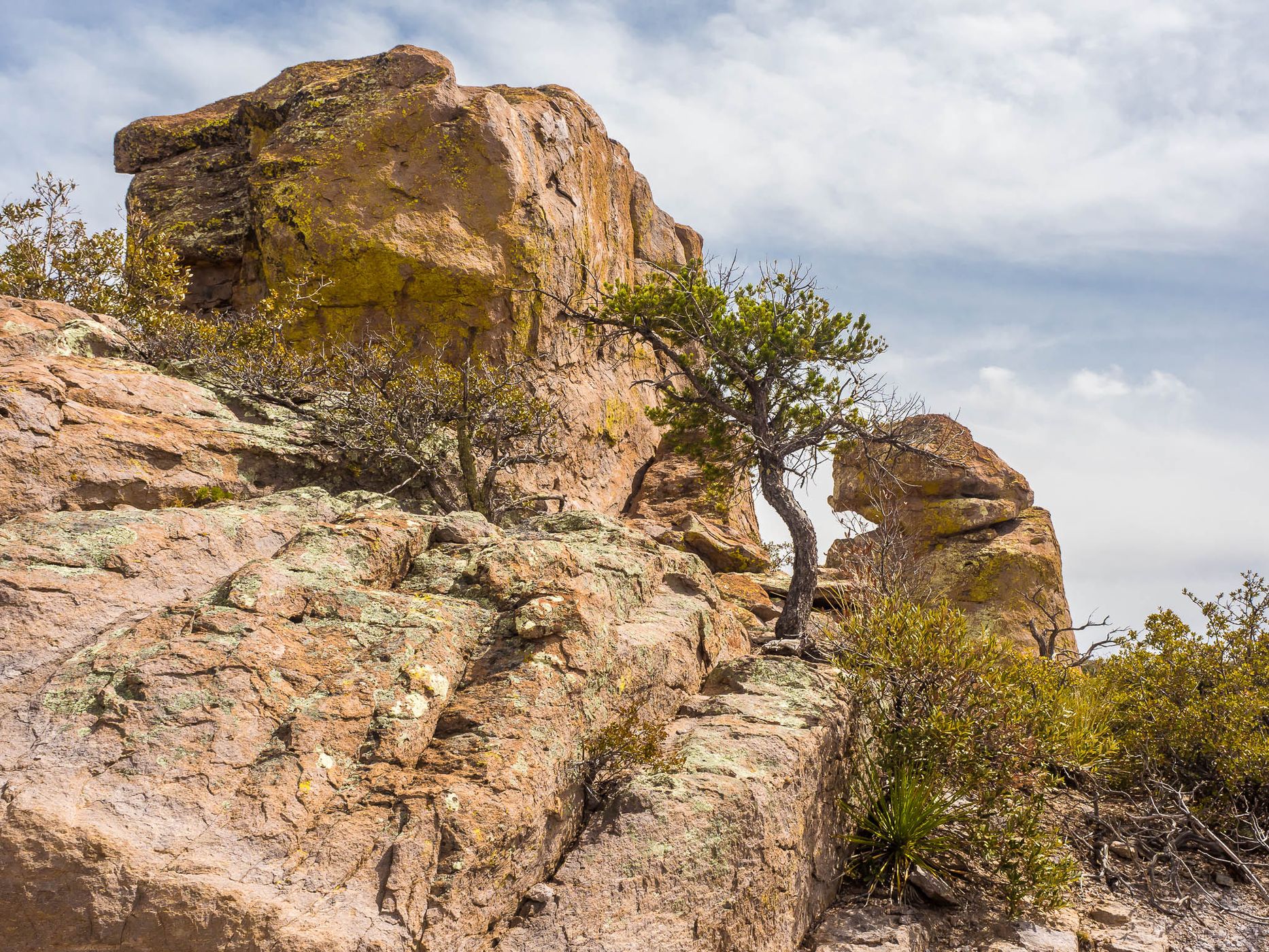 Massai Point Trail, USA