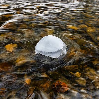 Middle Fork South Platte River, USA