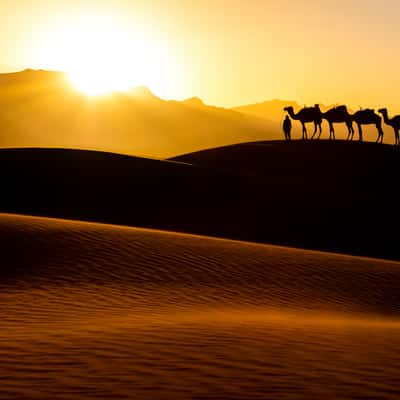 Moroccos Sahara Desert, Morocco