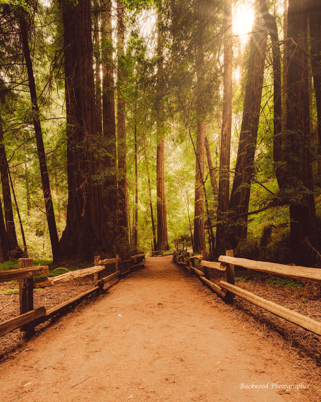 Muir Woods National Monument, USA