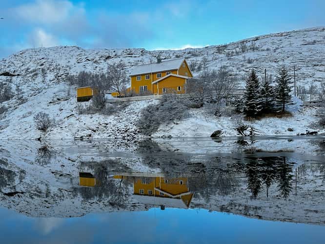Nice reflections