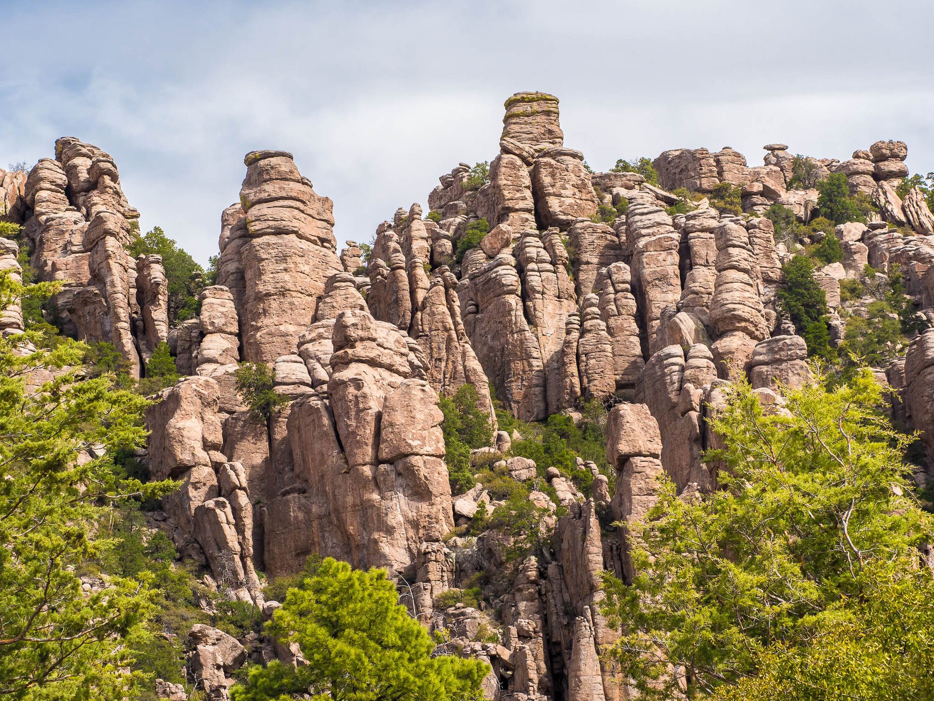 Organ Pipe Rock Formations, USA