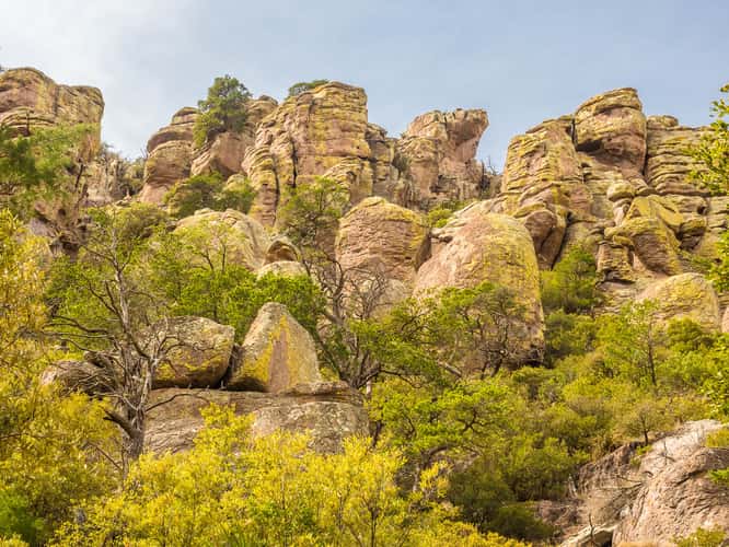 Organ Pipe Rock Formations