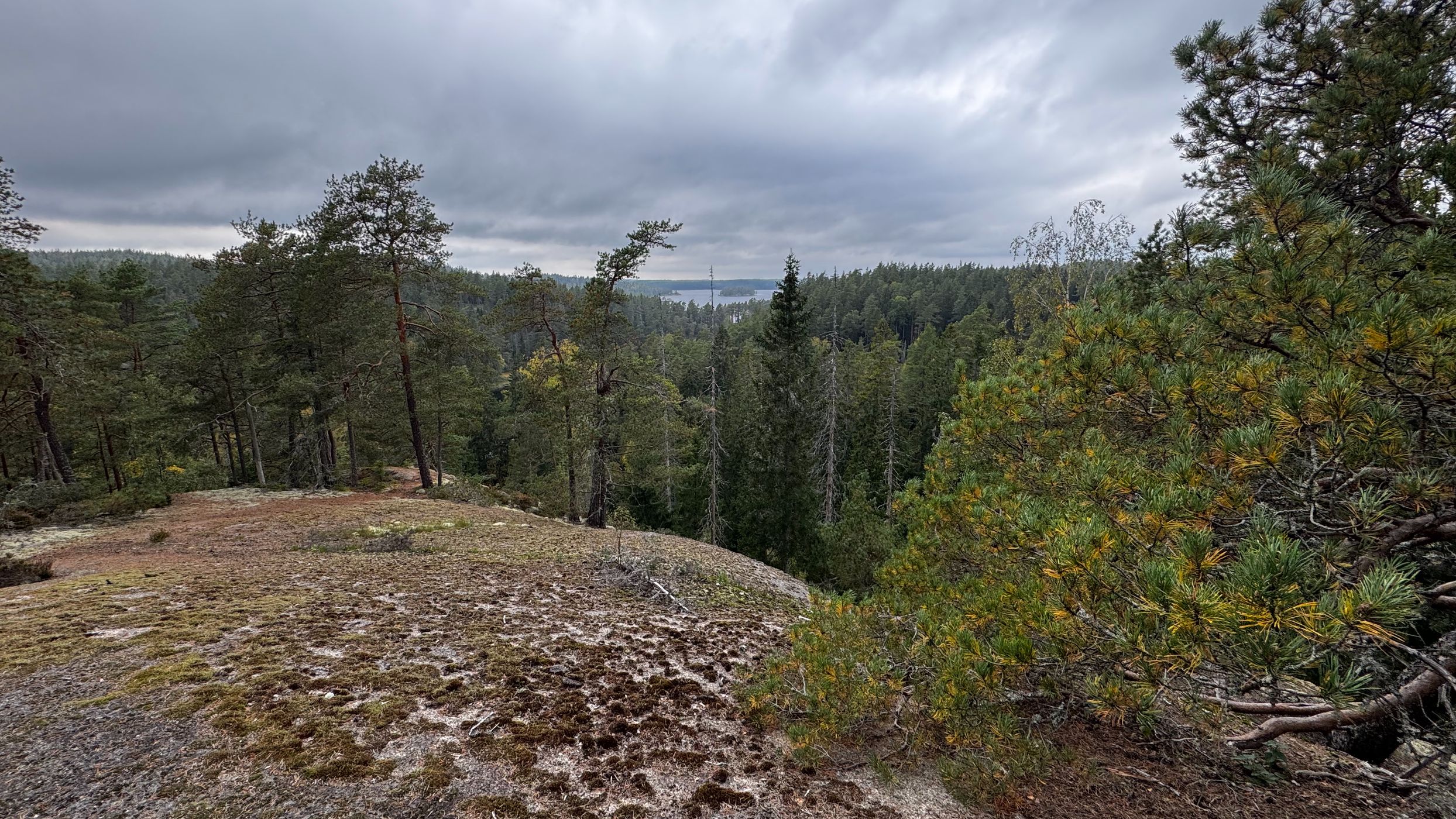 Oxaberget, Tiveden Nationalpark, Sweden