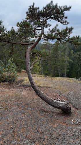 Oxaberget, Tiveden Nationalpark