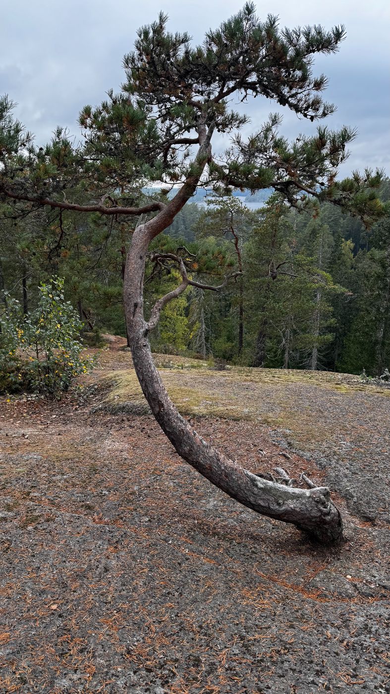 Oxaberget, Tiveden Nationalpark, Sweden